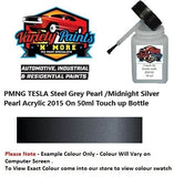 PMNG TESLA Steel Grey Pearl /Midnight Silver Pearl Acrylic 2015 On 50ml Touch up Bottle