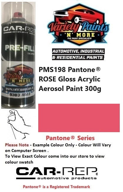 PMS198 Pantone® Rose Gloss Acrylic Paint 300 Grams