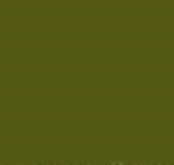 PMS378 Pantone Olive Green MATT Enamel Custom Spray Paint 300 Grams