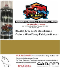 RAL1019 Grey beige Gloss Enamel Custom Mixed Spray Paint 300 Grams
