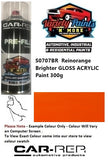 S0707BR Reinorange Brighter GLOSS ACRYLIC Paint 300g