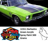 1C011 Barbados Green 1974 HOLDEN Touch Up Aerosol Acrylic 300 Grams