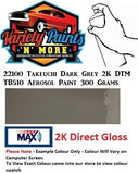22100 Takeuchi Dark Grey 2K DTM TB510 Aerosol Paint 300 Grams