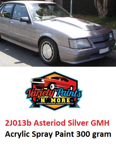 Variety Paints 2J013b Asteriod Silver GMH Acrylic Aerosol Paint 300 Grams