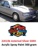 Variety Paints 2J013b Asteriod Silver GMH Acrylic Aerosol Paint 300 Grams