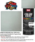4698TOY MEDIUM Grey  (100 Series Landcruiser) Suitable for Toyota Vinyl Aerosol 300 Grams