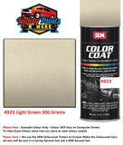 4923 Light Green SEM Sandstone Colourcoat Vinyl Aerosol 300 Grams