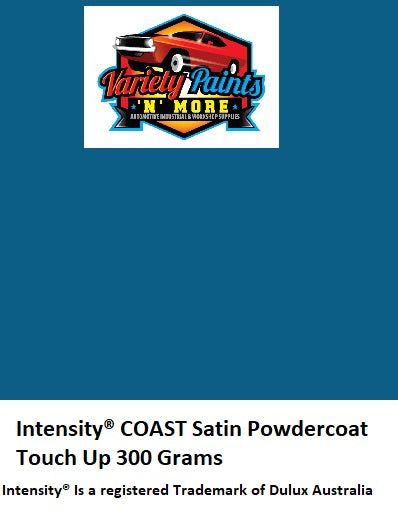 Intensity Coast 9005011G SATIN Spray Paint 300g