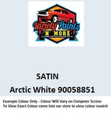 Variety Paints Arctic White 90058851 Powdercoat Spray Paint 300g