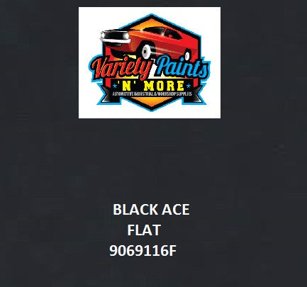Black Ace (FLAT) 9069116F Powdercoat Matched Spray Paint 300g