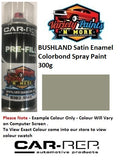 Bushland® Satin Enamel Colorbond Spray Paint 300g