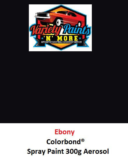 Ebony Colorbond Spray Paint 300g