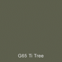 G65 Ti Tree Australian Standard 2K Direct Gloss Custom Spray Paint 300 Grams