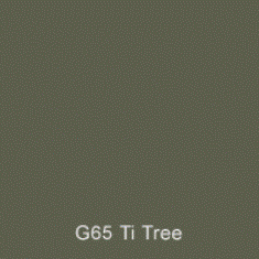 G65 Ti Tree Australian Standard Gloss Enamel Custom Spray Paint 300 Grams