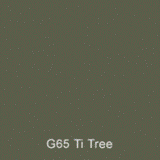 G65 Ti Tree Australian Standard Gloss Enamel Custom Spray Paint 300 Grams 