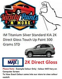 IM Titanium Silver Standard KIA 2K Direct Gloss Touch Up Paint 300 Grams STD