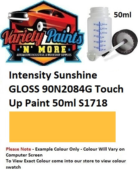 Intensity Sunshine GLOSS 90N2084G Touch Up Paint 50ml S1718
