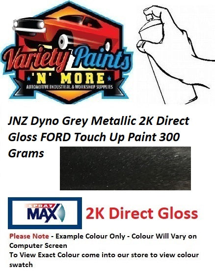JNZ Dyno Grey Metallic 2K Direct Gloss FORD Touch Up Paint 300 Grams 1IS 72A