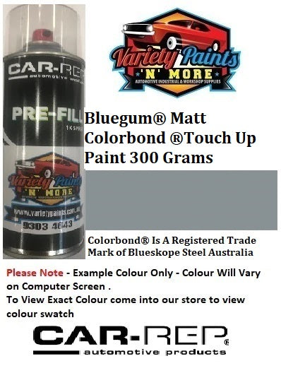 Bluegum Matt Colorbond Touch Up Paint 300 Grams