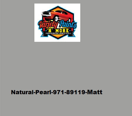 Variety Paints 89119-Natural Pearl Matt Finish Powdercoat Spray Paint 300g