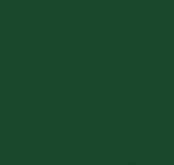 PMS350 Pantone GREEN Custom Enamel Gloss Spray Paint 300 Grams