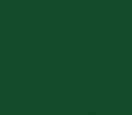 PMS357 Pantone Green Matt Acrylic Custom Spray Paint 300 Grams