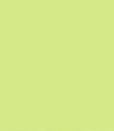 PMS373 Pantone Green MATT Enamel Custom Spray Paint 300 Grams