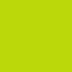 PMS382 Gloss Bright Lime Green GLOSS Pantone Custom Spray Paint 300 Grams