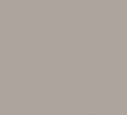 PMS402 Pantone Warm Grey Gloss Enamel Custom Spray Paint 300 Grams