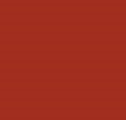 PMS484 Pantone Red MATT ACRYLIC Custom Spray Paint 300 Grams