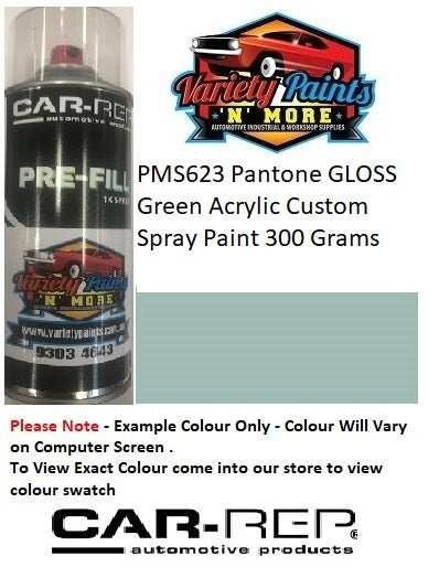 PMS623 Pantone MATT Green Acrylic Custom Spray Paint 300 Grams