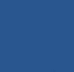 PMS653 Pantone BLUE Matt Acrylic Custom Spray Paint 300 Grams