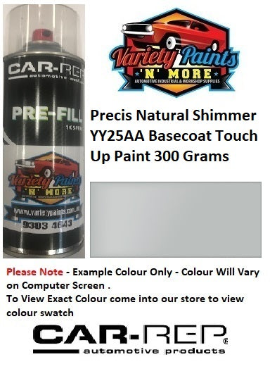 Precis™ Natural Shimmer Matt YY25AA Basecoat Touch Up Paint 300 Grams