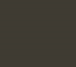RAL6006 MATT Grey Olive Acrylic 300 grams