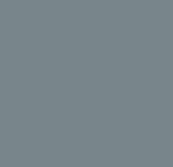 RAL7000 Squirrel/Fehgrau Grey SATIN Acrylic Spray Paint 300 Grams