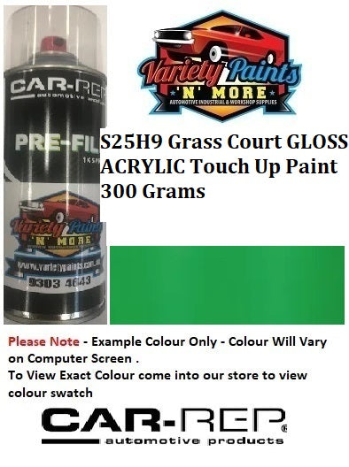S25H9 Grass Court Gloss Acrylic Touch Up Paint 300 Grams