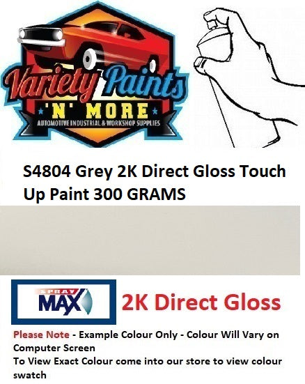 S4804 Grey 2K Direct Gloss Touch Up Paint 300 GRAMS