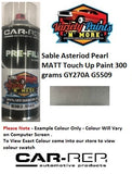 Sable™ Asteriod Pearl Matt GY270A Touch Up Paint 300 grams YY270A G5509