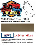 TRIBRO Trident Brown  862 2K Direct Gloss Aerosol 300 Grams