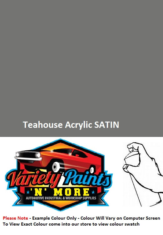 SN4G6 Teahouse DULUX Acrylic SATIN Spray Paint 300g S4721