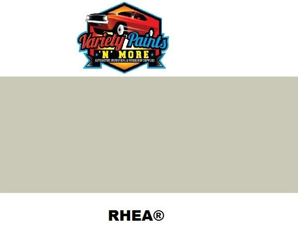 Rhea Colorbond Spray Paint 300g 000605