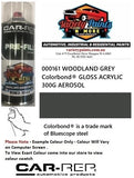 000161 WOODLAND GREY GLOSS Colorbond® 303 ACRYLIC 300G AEROSOL