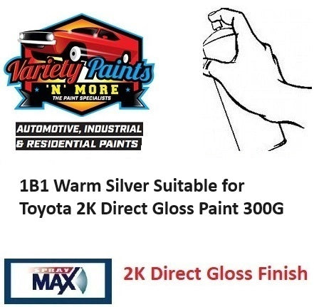 1B1 Warm Silver Suitable for Toyota 2K Direct Gloss Paint 300G