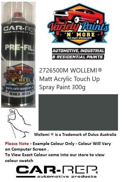 DLX0923 WOLLEMI® Matt Acrylic Touch Up Spray Paint 300g DLX0923 1IS 46A  2726500M