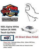 4301 Alpine White Valiant 2K 300G Touch Up Paint