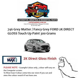 746 Grey Matter / Fancy Grey FORD 2K Touch Up Paint 300 Grams