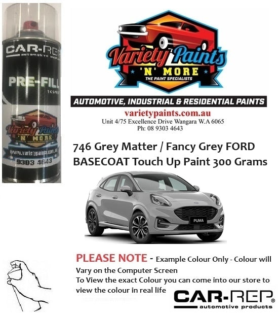 746 Grey Matter / Fancy Grey FORD BASECOAT Touch Up Paint 300 Grams