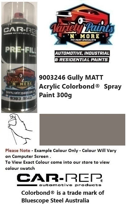 9003246 Gully MATT Colorbond® Spray Paint 300g GM242A