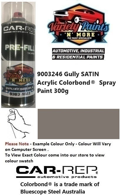 9003246 Gully SATIN Acrylic Colorbond®  Spray Paint 300g