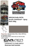 9003246 Gully SATIN Acrylic Colorbond®  Spray Paint 300g